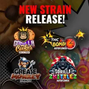 10% Off New Strain Releases @ MSNL