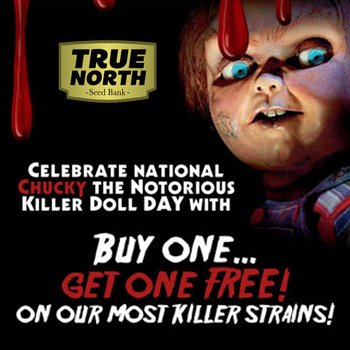National Chucky Day - BOGOF at  True North Seedbank