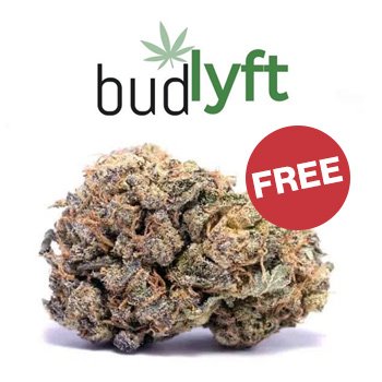 Get 35% off + FREE Flower (14G) at BudLyft