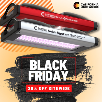 Save 20% on everything at CaliforniaLightworks.com