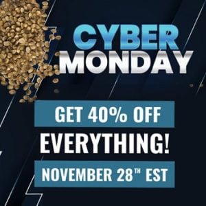 40% Off All Cannabis Seeds @ Canuk Seeds