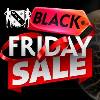 Black Friday - Buy 1 Get 1 FREE at  MSNL