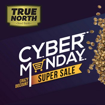 Get 25% off all seeds sitewide at  True North Seedbank
