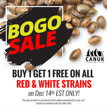 Red & White Strains - BOGOF at  Canuk Seeds