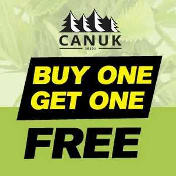 7-Packs - Buy 1 Get 1 FREE at Canuk Seeds