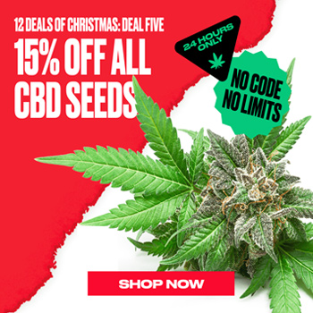 Save 15% on all CBD seeds at  Homegrown Cannabis Co