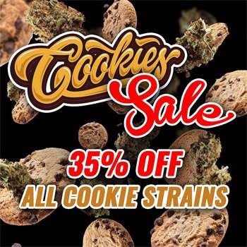 Save 35% on ALL Cookie strains at  MSNL