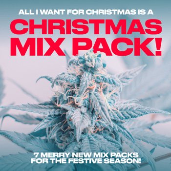 Xmas Mix Packs - 24 seeds for $219 at  Homegrown Cannabis Co