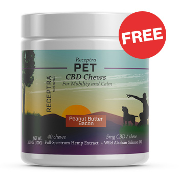 Get FREE CBD Pet Chews at  Receptra