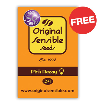 Get a FREE Pink Rozay Fem at  Original Seed Store