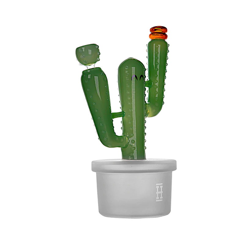 Cactus XL
