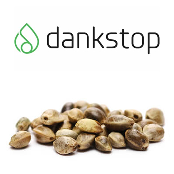 Save 20% on cannabis seeds at DankStop