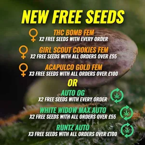 NEW Free Cannabis Seeds @ MSNL
