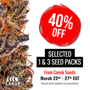 Save 40% on 1 and 3 packs at  Canuk Seeds