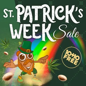 St Patrick's Sale - BOGOF at Amsterdam Marijuana Seeds