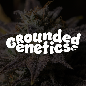 Get FREE seeds with Grounded Genetics at  Seed City