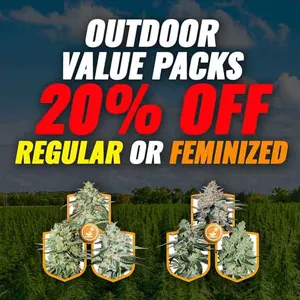 20% Off Outdoor Value Packs @ MSNL