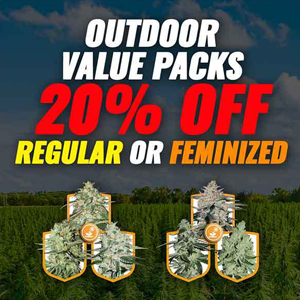 Save 20% on Outdoor Value Packs at MSNL