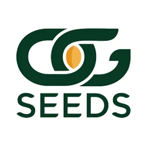 Save 25% on your first order at OG Seeds