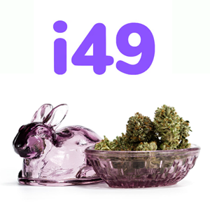 All cannabis seed bundles - BOGOF at i49