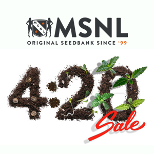 Selected seeds - Buy 1 Get 1 FREE at MSNL