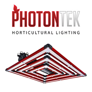 Save 40% on Photontek LED's at TrimLeaf