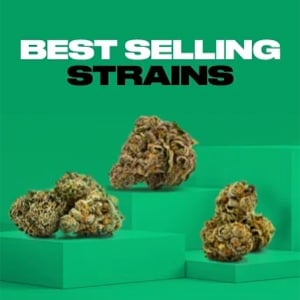 Save 10% on Bestselling Strains at Homegrown Cannabis Co