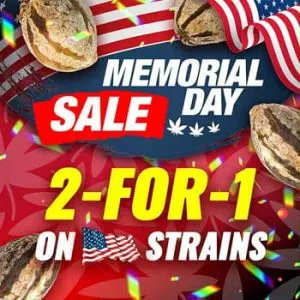 USA Strains – Buy 1 Get 1 FREE @ MSNL