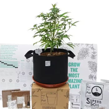 Get 20% off Complete Growing Kits at A Pot For Pot