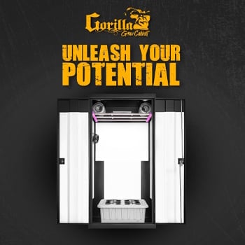 Save 15% on complete grow boxes at Gorilla Grow Tent