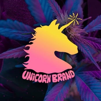 Get 15% off Indoor Flower at Unicorn Brand