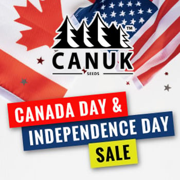 Save 50% on all cannabis seeds at Canuk Seeds