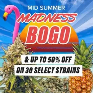 Mid-Summer Madness Deals @ MSNL
