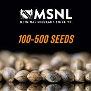 Extra 25% Off Bulk Packs @ MSNL