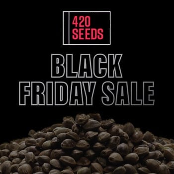 Save 30% on premium breeders at 420 Seeds