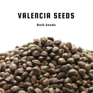 40% Off Valencia Seeds @ Seed City