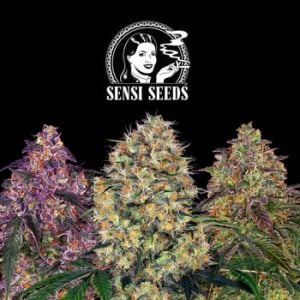 35% Off ALL Seeds @ Sensi Seeds