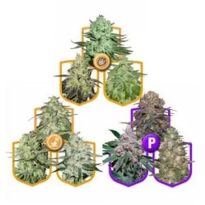 30% Off Value Packs @ MSNL