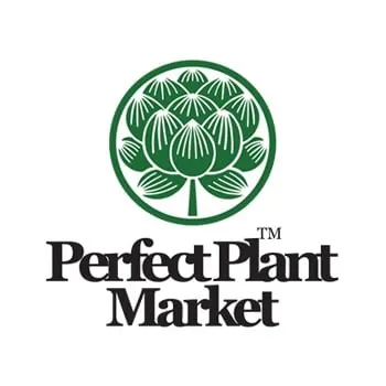 Perfect Plant Market