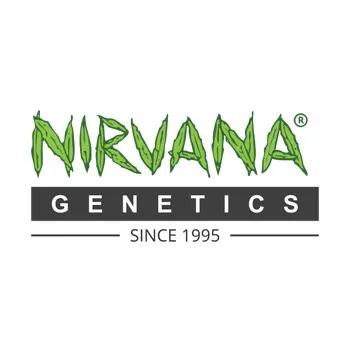 Nirvana Seeds