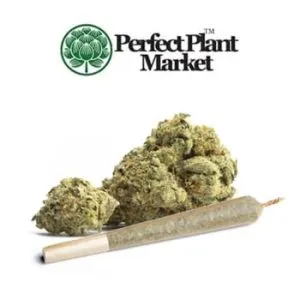 FREE THCa Pre-Roll