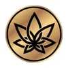 3Chi