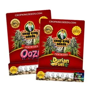 July 4th Sale: Buy 1 Get 1 FREE Seeds