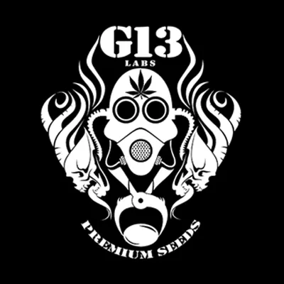 G13 Labs