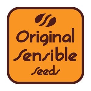 Original Sensible Seeds Freebies at The Vault
