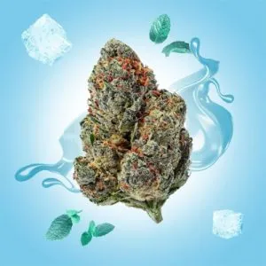 10% Off THCa Flower