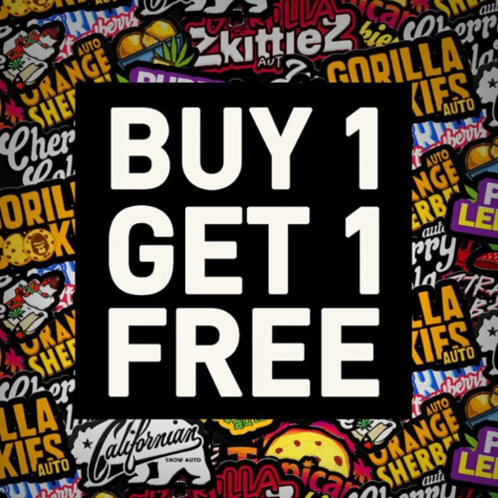 fastbuds bogo