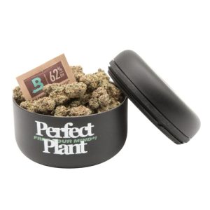 1/2oz Ceremonial Macha + Airtight Container