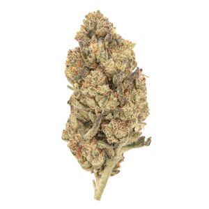 Forbidden Gas THCa Flower (OZ SPECIAL)