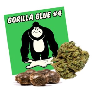 10 FREE Gorilla Glue #4 Autos